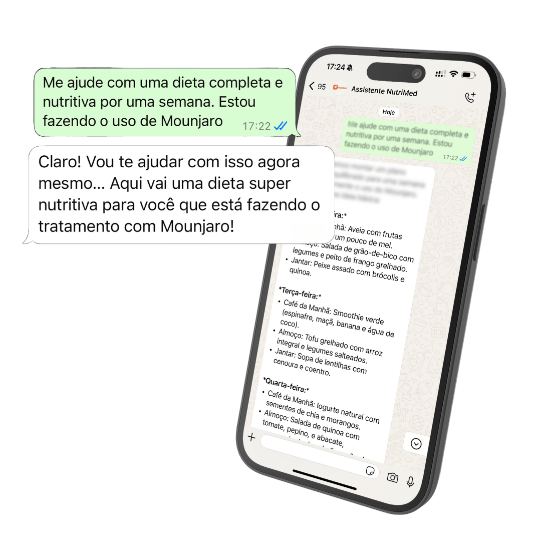 Exemplo de conversa com o assistente no WhatsApp